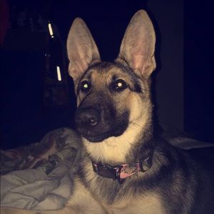 Meet your Posher, Dana